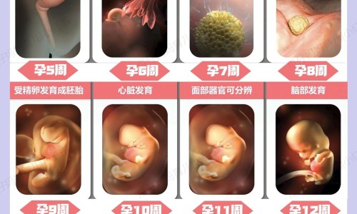 怀孕宝宝缺氧是什么症状专区_怀孕时宝宝缺氧有什么后遗症专区_怀孕时宝宝缺氧网